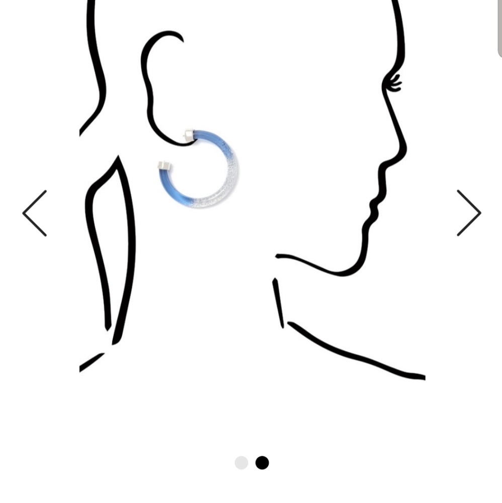 NWT- Oceana Lucite Hoops

Earrings